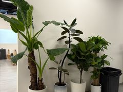 -中原麦购时代广场(南市店)