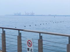 -东疆建设开发纪念公园