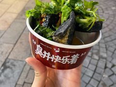 -黑色经典臭豆腐·湖南特产(坡子街店)
