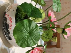 -小城外婆肴私房菜.家宴聚集点(圆明园颐和园·清河上地店)