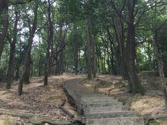 -火炉山森林公园