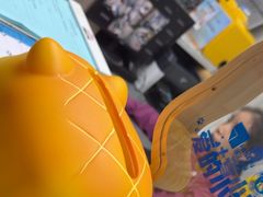 -半岛宠物医院24小时(白果林店)