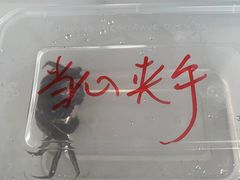 -水岸居湖景农家乐·阳澄湖大闸蟹