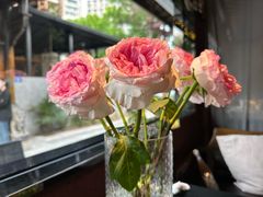 -都氏家DUSJOY(翡翠城店)