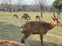 -良渚古城遗址公园