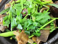 -寻味肇庆·八姑农庄·广府西江菜