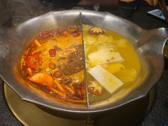 台式麻辣花胶鸡鸳鸯锅-湊湊火锅·茶憩(世博大道店)