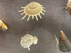 -烟台自然博物馆