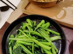 白灼菜心-来龙里 精致 东南亚餐室(万象城店)