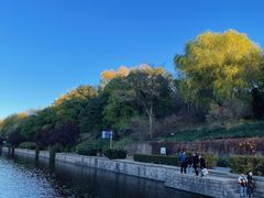 -元大都城垣遗址公园