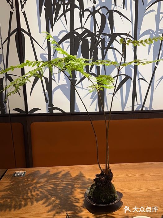 小户人家(循礼门南国中心店)图片