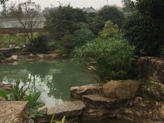 -铁山坪森林公园