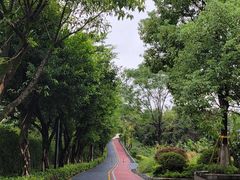 -大渡口区义渡公园