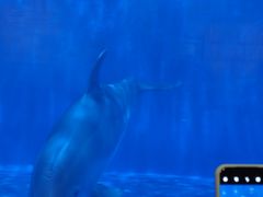 -华夏文旅西安度假区