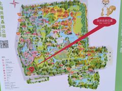 -上海共青森林公园