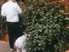 -冰城小镇音乐串吧·聚会餐厅(百子湾店)