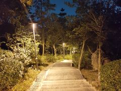 -聚龙山公园