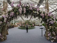 -上海鲜花港