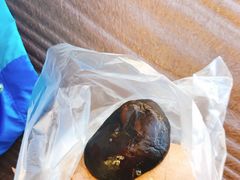 -金盆阿嬷香菇茶叶蛋(玄光店)