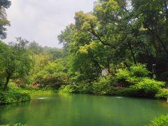 -岳麓山风景名胜区