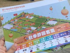 -前小桔亲子创意农场·草莓采摘·露营烧烤