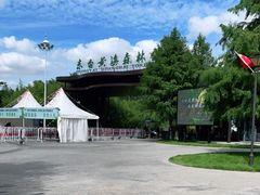 -黄海国家森林公园