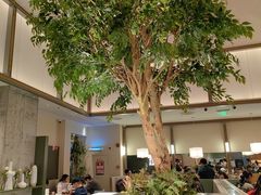 -榕意·川味之美(深业上城店)