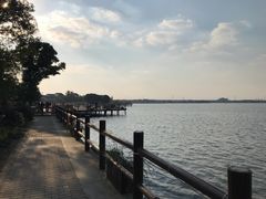 -鹅湖玫瑰文化园