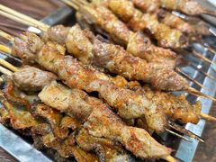 -新疆正宗烤肉营养馕(文化路店)