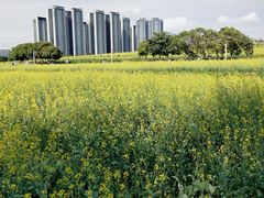 -光明小镇欢乐田园