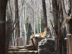 -秦皇岛野生动物园