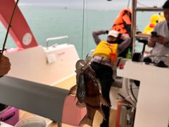 -小猫钓鱼海钓俱乐部(椰梦长廊店)