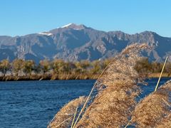 -野鸭湖国家湿地公园