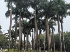 -顺峰山公园