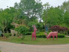 -南宫五洲植物乐园