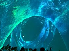-海合安青岛极地海洋公园
