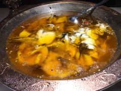 -雲蜀龙阁·金牌水煮鱼(方庄店)