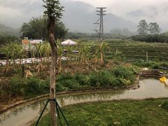 -竹语饭香·原生态农庄·烧鸡·竹筒饭·河鲜(森林海白水寨店)