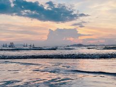 -广东惠东海龟国家级自然保护区