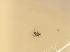 -大唐靓汤江门私房菜(景田店)