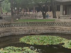 -晋祠公园