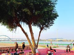 -卖鱼珍河鲜坊•一线江景园林餐厅