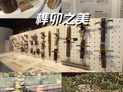 -宁波市保国寺古建筑博物馆