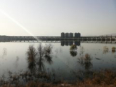 -绿堤公园
