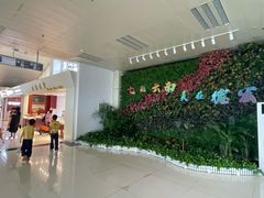 -德宏芒市国际机场