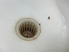-瑞泰口腔(龙湖门诊)