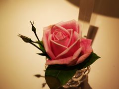 -深圳湾木棉花酒店