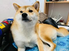 -About Bistro關於·泰式家庭料理