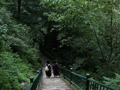 -洛阳白云山景区