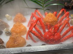 -Mr.Fish鱼鲜生海鲜放题(高德置地冬广场店)